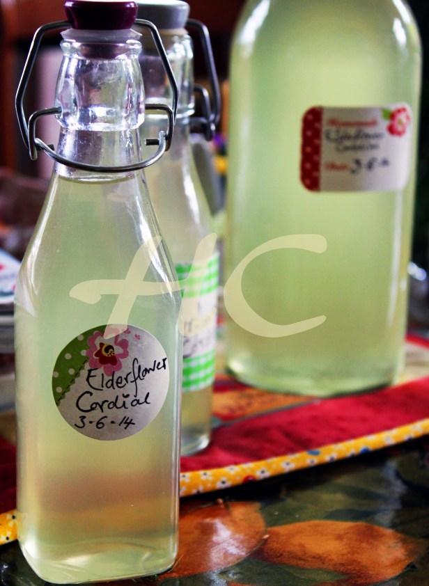 Elderflower Cordial 